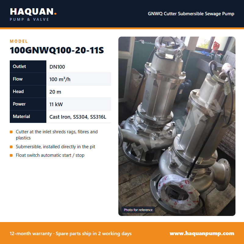 100GNWQ100-20-11S Stainless Cutter Pump for Chemicals — GNWQ Cutter Submersible Sewage Pump by Haquan